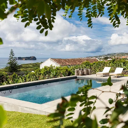 Guava Azores Ii Pensión